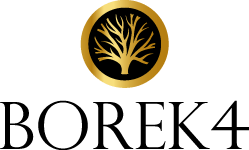 BOREK4_logo